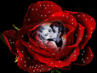 une rose qui  brie